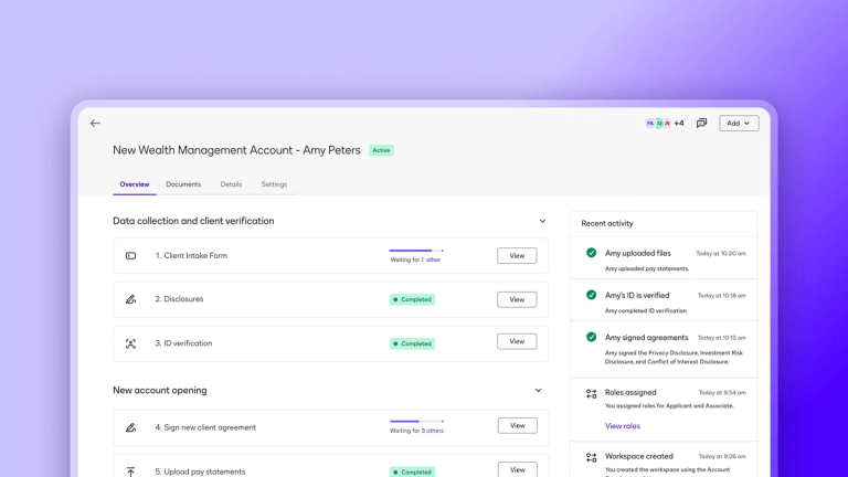 Docusign IAM 2025