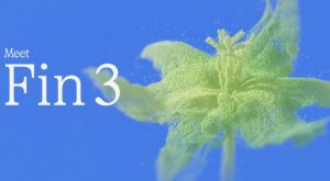 FIN AI